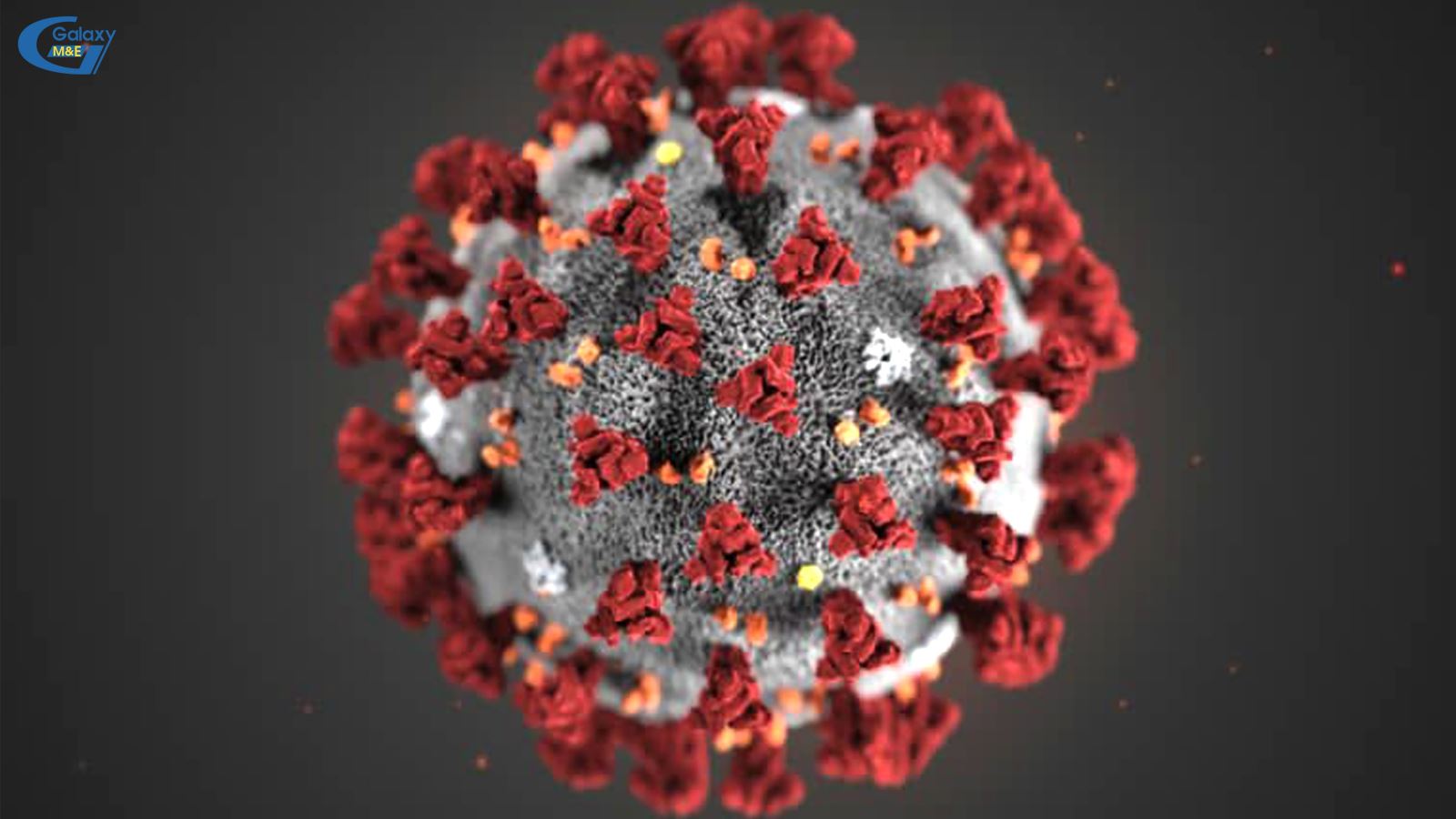 The new Corona virus has been labeled by the WHO as 2019-nCoV. Coronavirus usually causes the symptoms of a common cold, infection of the nose, sinuses or sore throat and spreads through sneezing and coughing. However, it can lead to acute and fatal pneumoni